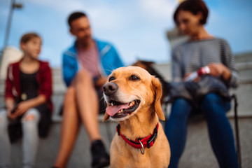 Dog and family enjoying outdoors