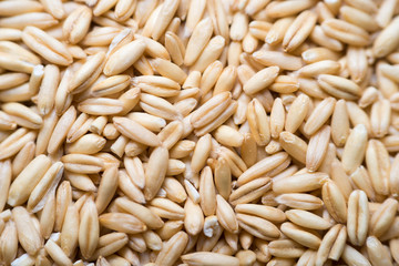 close up to oat grains