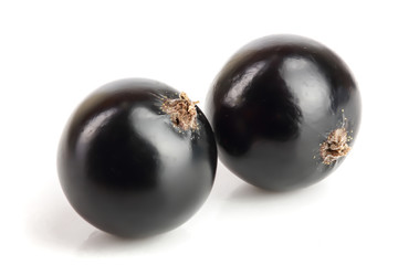 two black currant isolated on white background
