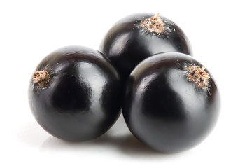three black currant isolated on white background