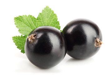 two black currant with leaf isolated on white background