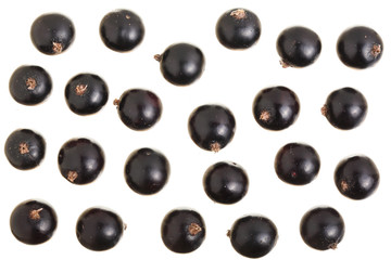 black currant isolated on white background. Top view. Flat lay pattern