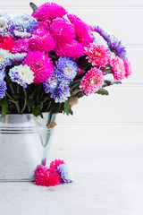bouquet of pink and blue chrysanthemum fresh flowers on white background