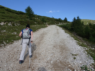 Wandern am Berg