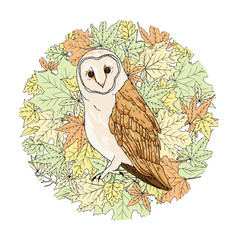 Fototapeta premium Beautiful barn owl on autumn floral background veclor