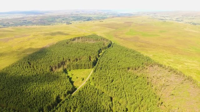 Capnagh Moss Bog Forest woods in Ireland