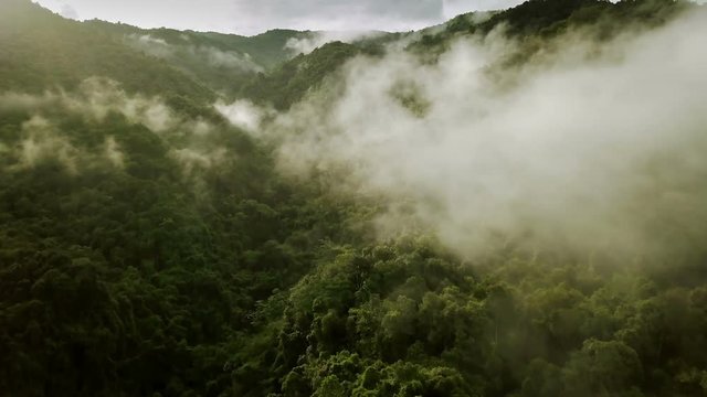 Aerial view of a village in the lush green rain cloud cover tropical rain forest mountain during the rainy season in the northern Thailand