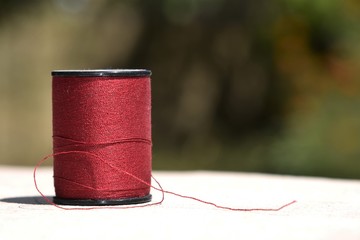Burgundy spool of thread