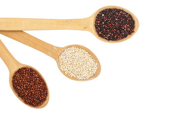 Black red white quinoa seeds in wooden spoon isolated on white background with copy space for your text