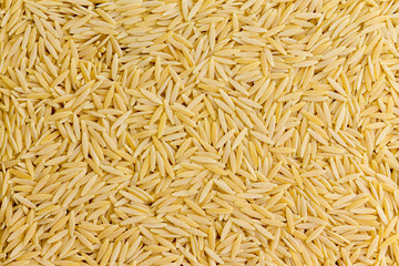 Background texture of dried Italian orzo pasta