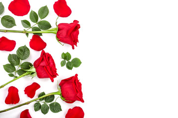 beautiful red rose with leaves and petals isolated on white background with copy space for your text. Top view. Flat lay pattern