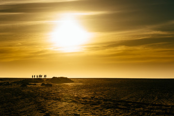 Silhouettes of a group of people walking in the horizon under the sun