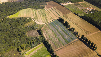 agronegócio plantação