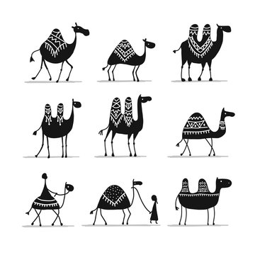 Camels collection, sketch for your design