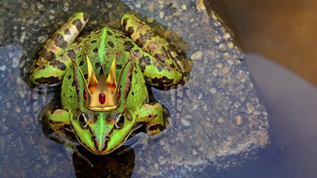 Prince frog, crown, fairy tale, love, test