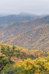 Autumn Blue Ridge Mountain View, from the Blue Ridge Parkway in the Appalachian Mountains of Virginia