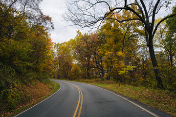 Autumn color along Skyline Drive in Shenandoah National Park, Virginia