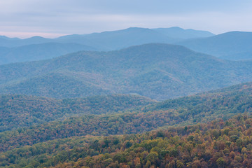 Fototapeta na wymiar Autumn view of Blue Ridge mountain ridges from Skyline Drive in Shenandoah National Park, Virginia