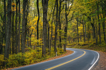 Early autumn color along Skyline Drive in Shenandoah National Park, Virginia