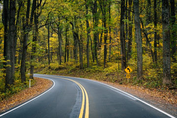 Fototapeta premium Early autumn color along Skyline Drive in Shenandoah National Park, Virginia