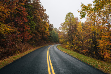 Fall color along the Blue Ridge Parkway in Virginia.