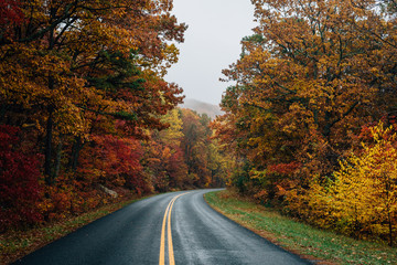 Fototapeta premium Fall color along the Blue Ridge Parkway in Virginia.