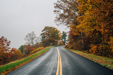 Fall color along the Blue Ridge Parkway in Virginia.