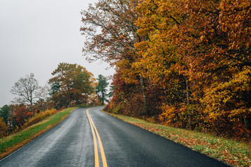 Fall color along the Blue Ridge Parkway in Virginia.