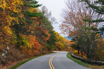 Fototapeta premium Fall color along the Blue Ridge Parkway in Virginia.