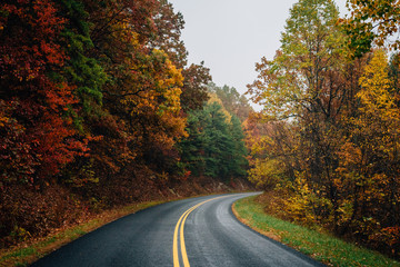 Fall color along the Blue Ridge Parkway in Virginia.