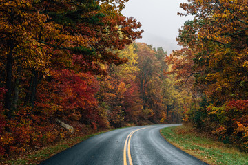 Fall color along the Blue Ridge Parkway in Virginia.
