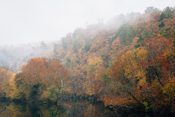 Fog and autumn color on the James River, from the Blue Ridge Parkway in Virginia.