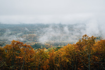 Foggy autumn view from the Blue Ridge Parkway, in Virginia.