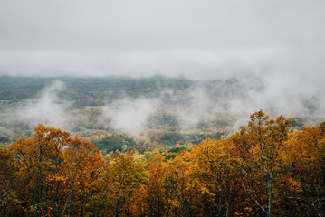 Foggy autumn view from the Blue Ridge Parkway, in Virginia.