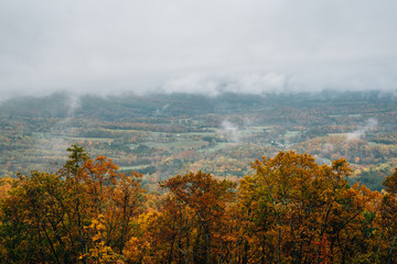 Foggy autumn view from the Blue Ridge Parkway, in Virginia.