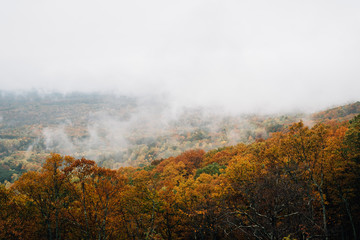 Foggy autumn view from the Blue Ridge Parkway, in Virginia.