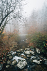 Foggy autumn view of the Tye River, near Crabtree Falls, in George Washington National Forest, Virginia.