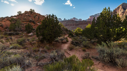 Watchman Trail