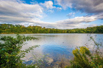 Lake Williams, in York, Pennsylvania