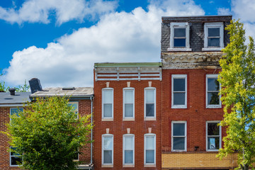 Fototapeta premium Row houses near Hollins Market, in Baltimore, Maryland