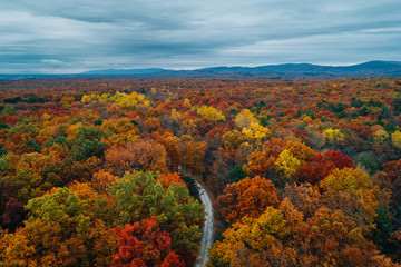 View of a road and autumn color at Big Levels, in George Washington National Forest, Virginia.