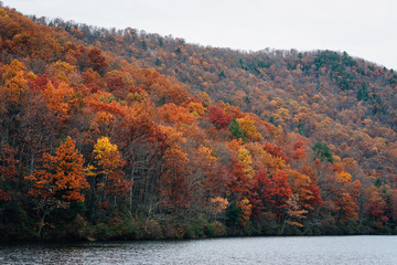 Autumn color at Sherando Lake, near the Blue Ridge Parkway in George Washington National Forest, Virginia.