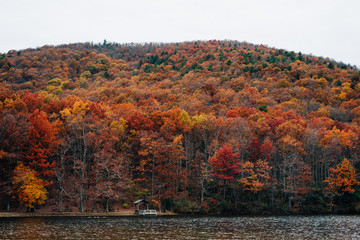 Autumn color at Sherando Lake, near the Blue Ridge Parkway in George Washington National Forest, Virginia.