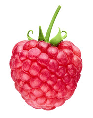raspberries isolated on white