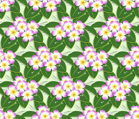 pink plumeria flower pattern seamless on green background