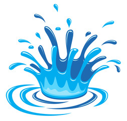 water drop and splash on white background