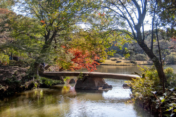 東京　六義園