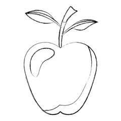 apple fresh fruit healthy vector illustration design