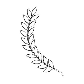 leafs spike decorative icon vector illustration design