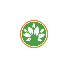 tree leaf logo